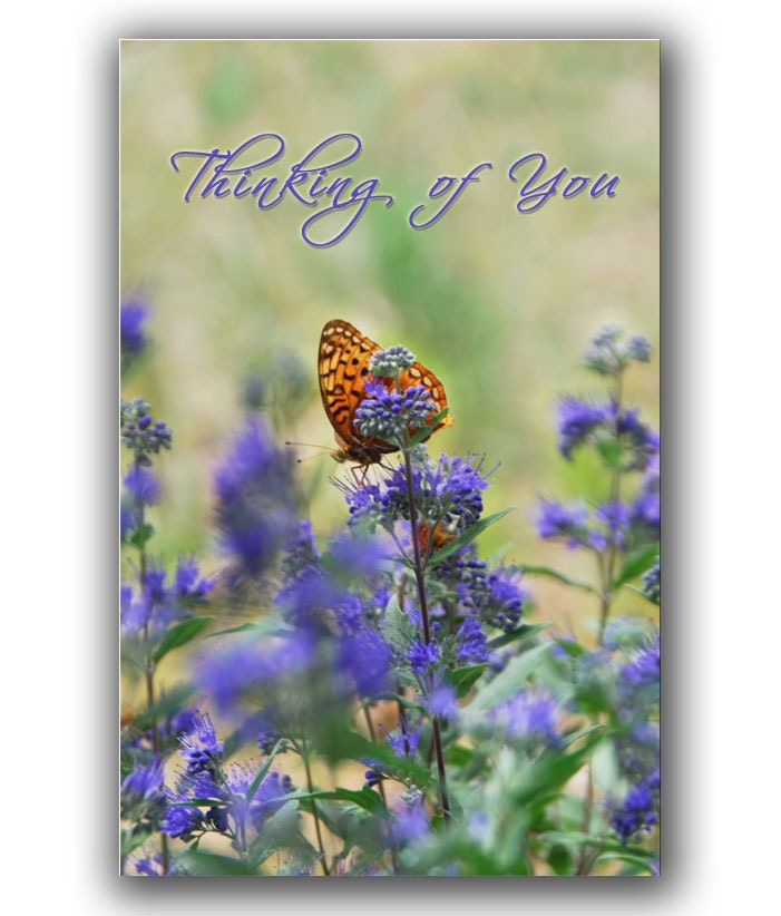 Blank Greeting Card -Flower Photography -Thinking of You -Blank Card -Spring Card -Flower Card -Butterfly Card