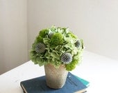 NEW- Jade Garden- dried flower arrangement - floresdelsol