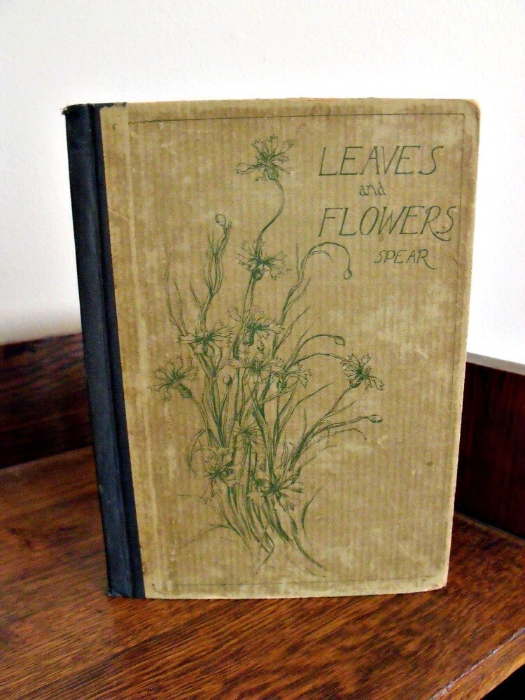 Leaves and Flowers - Mary Spear - 1898 printing - Botanical education for children