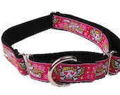 Pink Pirate Martingale Dog Collar Skull Pink Martingale Dog Collar 1"