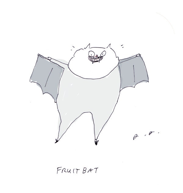 Fruit Bat- Cat- Fine Art Print- Ink Drawing