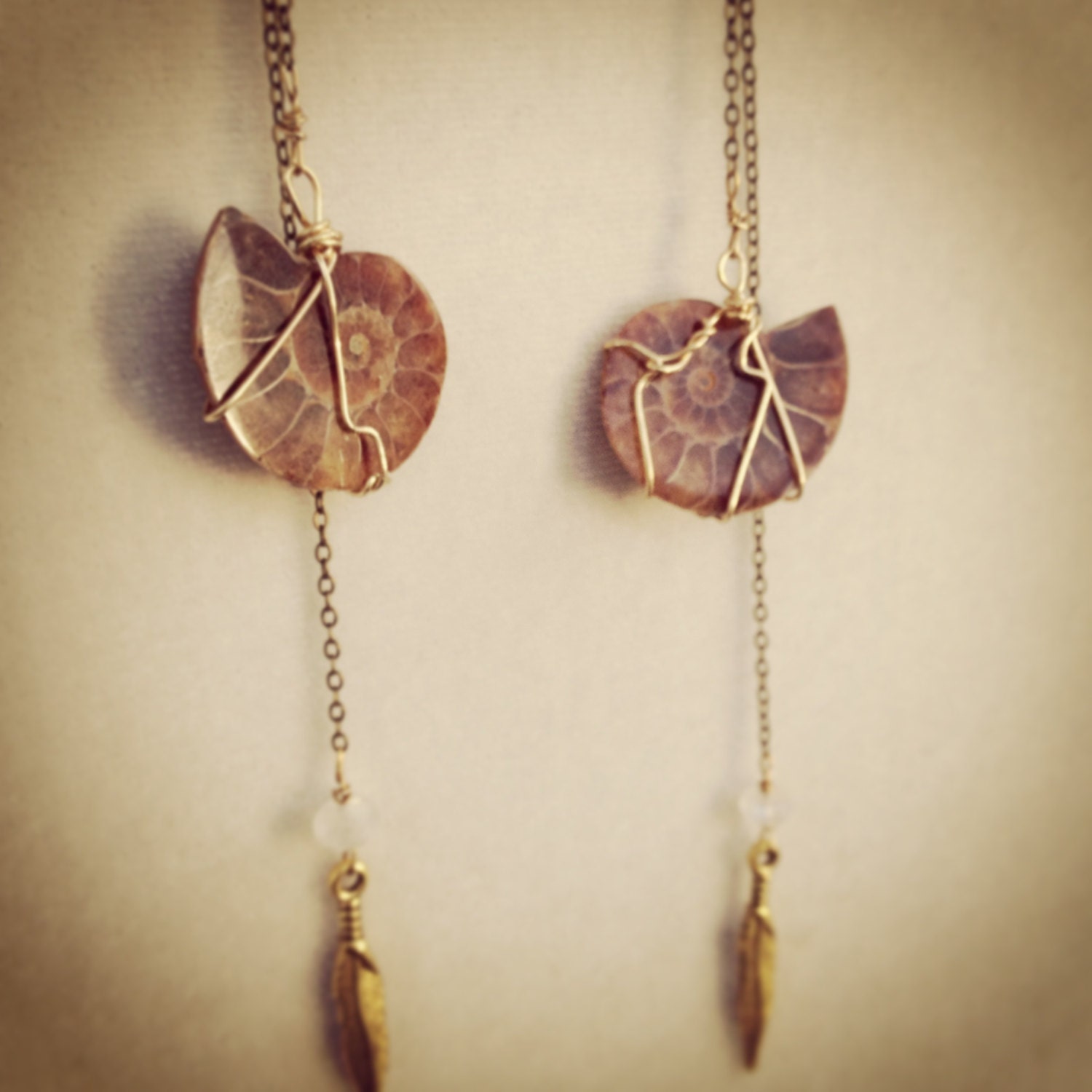 Ammonite Earrings with Rainbow Moonstone