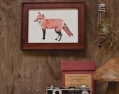 Red Fox 5x7 Print