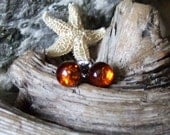 Baltic Amber 6mm Ear Studs Stud Earrings Earings Titanium Posts and Clutches Hypo Allergenic Made in Newfoundland Energy