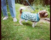 Loving The Vintage Dog-coat PDF...