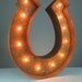 Vintage Marquee Lights - Horseshoe