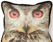 Decorative Owl Pillow, Modern Vintage Style, Eco-Chic