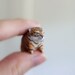 Baby Tiger- The Totem Nursery