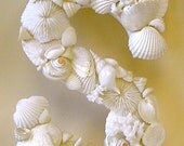 Beach Decor - Seashell Letter - All Letters Available