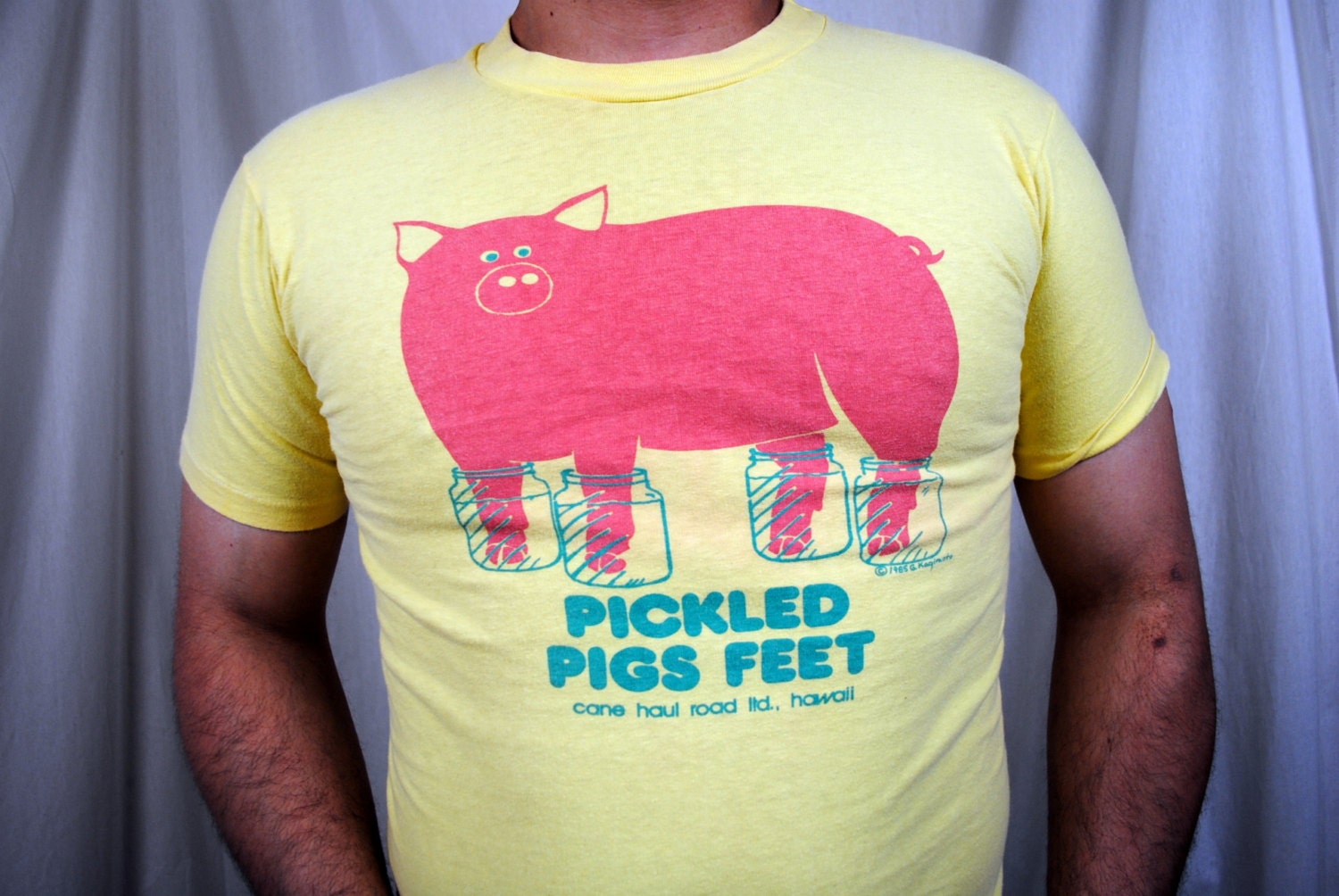 Vintage 1985 Pickled Pigs Feet, Hawaii, Tee Shirt