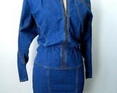 Vintage Denim Dress Long Sleeve Mini Length Zippers Back Pockets