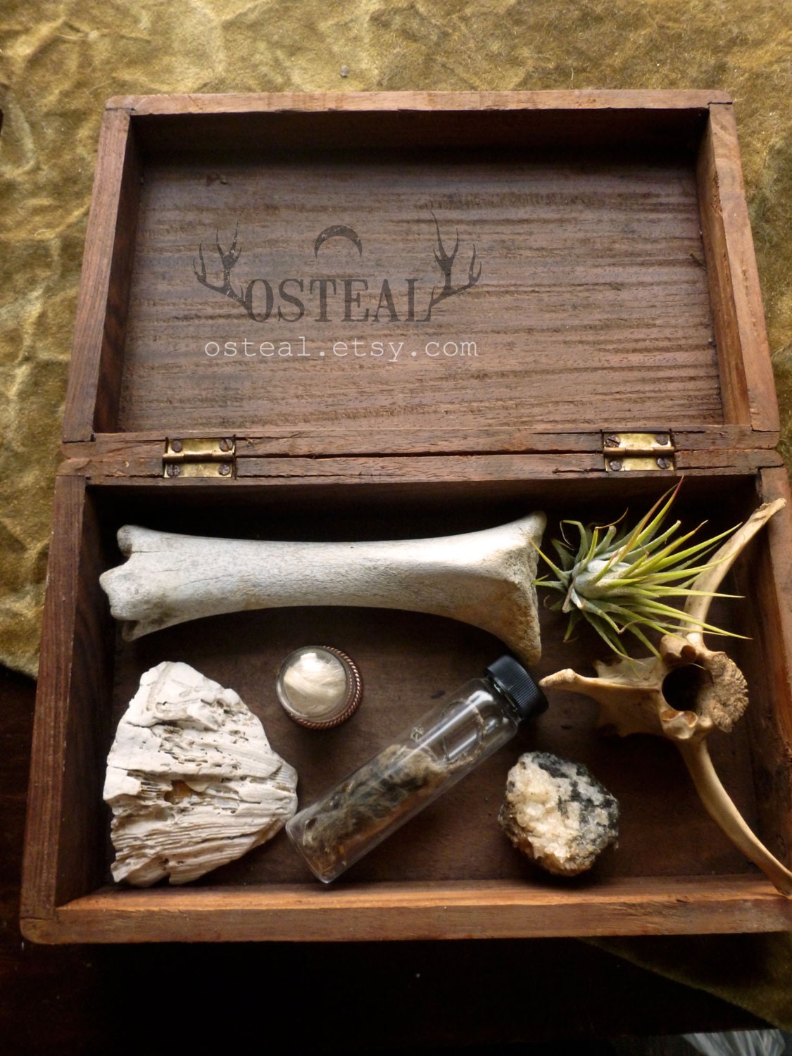 Treasure - A Collection - specimen