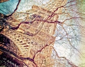 Eiffel Tower Behind a Tree - Photo Print - 8"x12"