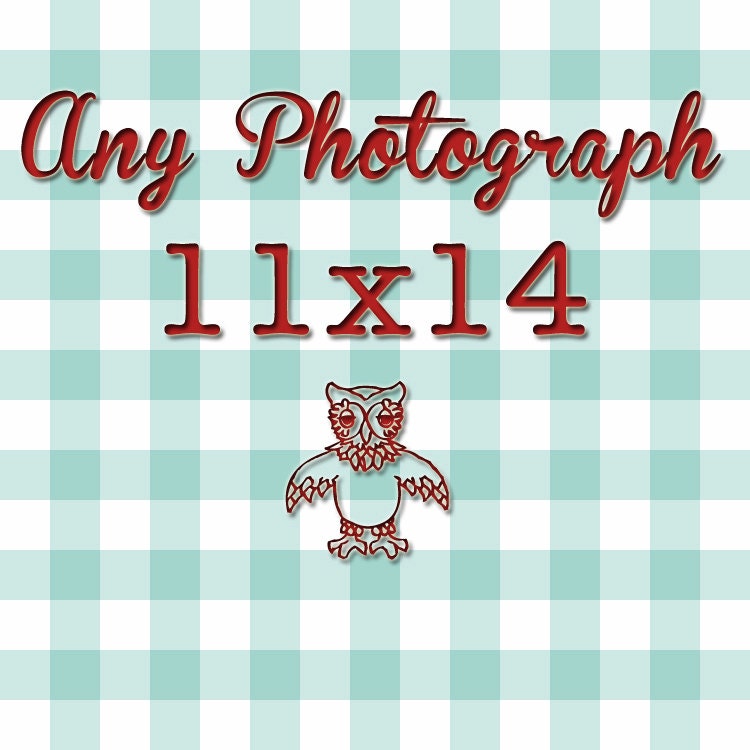 11x14 photograph your choice 11x14 fine art photo customize your size 11x14 print