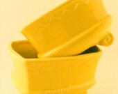 Yellow Planter Pottery Rectangle Set of 2