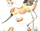 Water Bird Print, animal painting, beach decor, kids bathroom art, beach art, bird art print, summer decor -  Avocet Beach Puffs