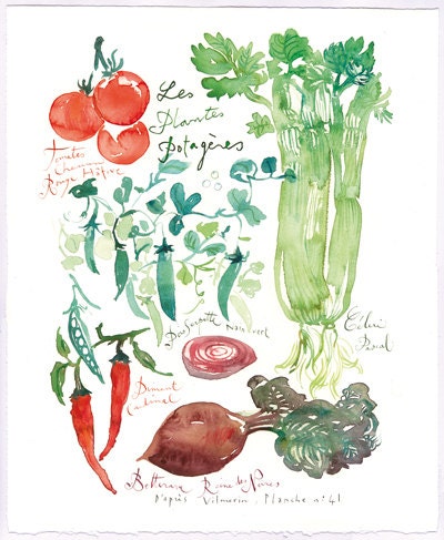 Spring vegetables original watercolor painting, Kitchen art, Food artwork, green, red, botanical