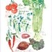Spring vegetables original watercolor painting, Kitchen art, Food artwork, green, red, botanical