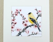 watercolor bird- Goldfinch in Spring Cherry Tree- 8x8 print matted to 12x12