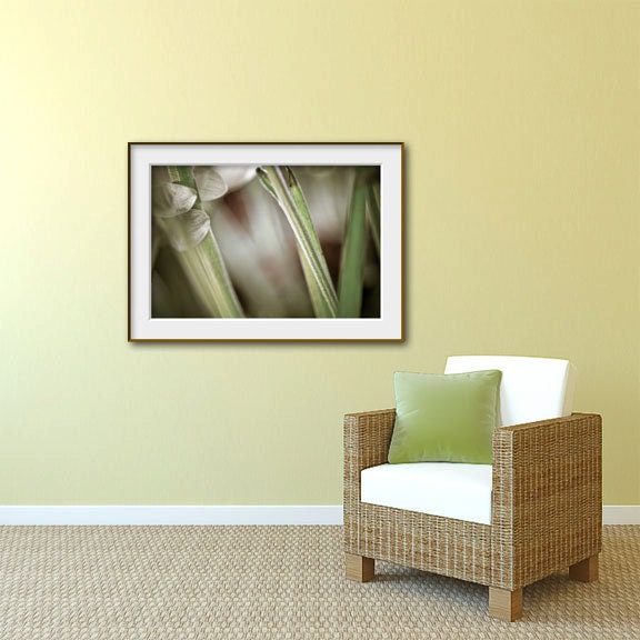 Photo of Petals Holding Leaf - Fine Art Photo Entitled Holding You - 8 X 12