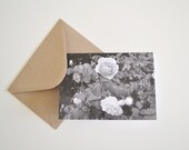 Romeo & Juliet Roses Card