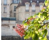 Paris springtime on the River Seine, chestnut blossoms, romance, April in Paris, wall decor 8x12 Original Fine Art Photography