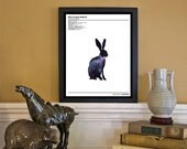 Epic Hare // Zoological Universe Series // 8x10 Science and Nature Fine Art Print