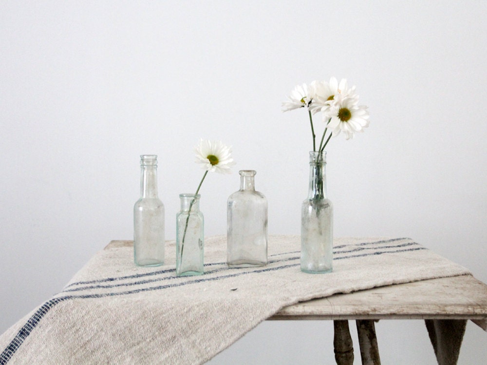 Antique Glass Bottle Collection / Glass Pharmaceutical Bottles