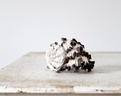 Natural Sea Shell / Black Murex Shell