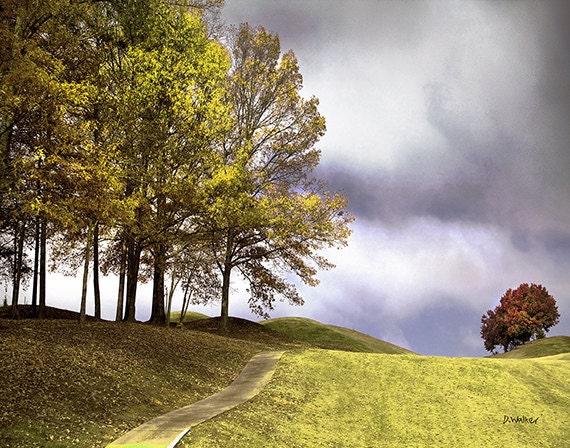 12x18 GREEN Oak Trees on Hilltop - SPRING- Purple storm Clouds - Southern landscape in Blairsville GA -  fine art photograph