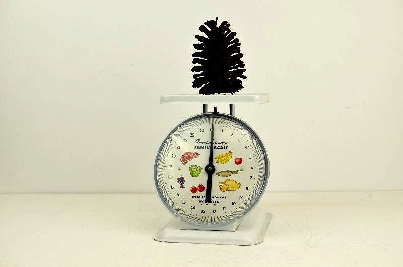 Vintage American Family Scale with a Metal Platform