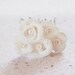 Wedding rose hair pins set of five Bridal White Roses and pearls hair piece classic wedding accessories jewelry Israel