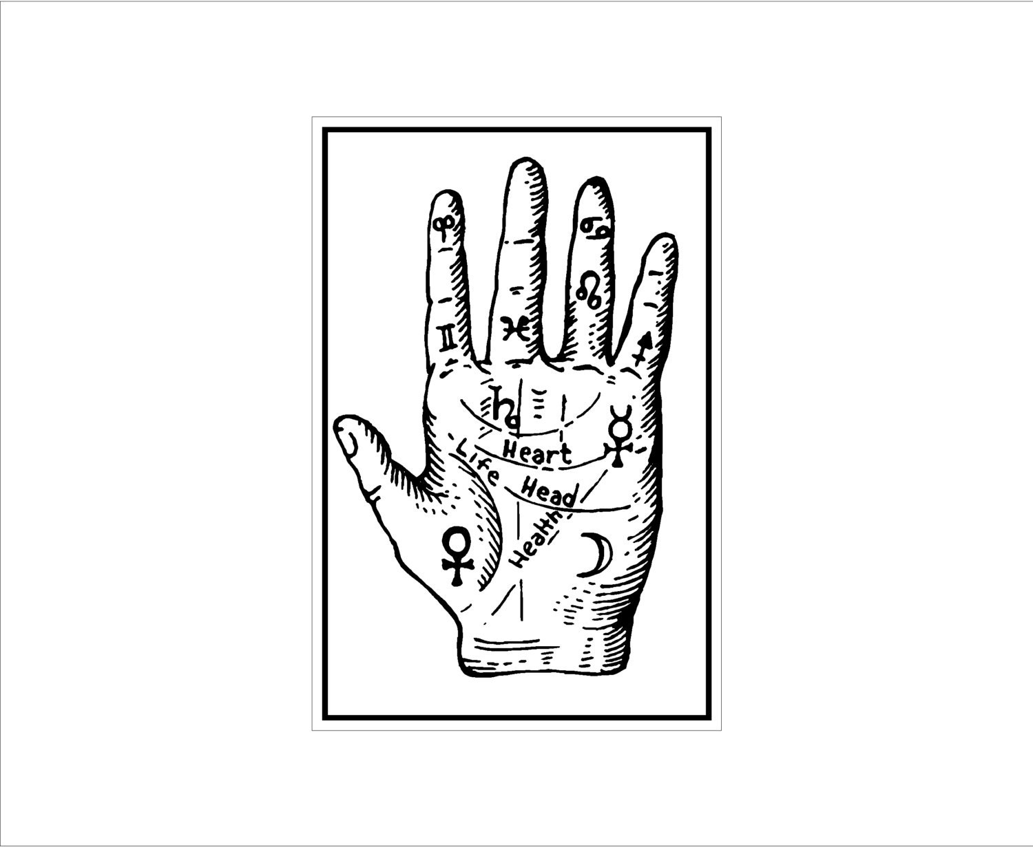 Palm Reading chart sign - smaller size