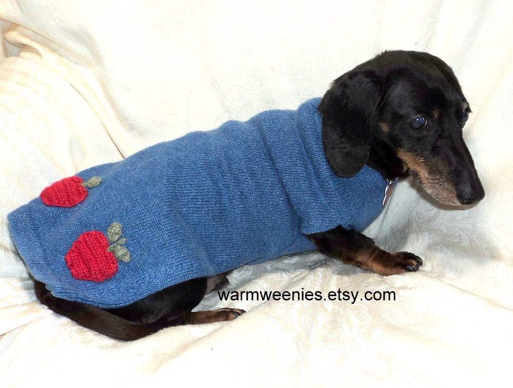 Custom Dachshund jumper sweater bright blue crocheted apples appliqued on handmade clothing for pets