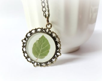 Beech leaf - resin necklace Botanical specimen Real pressed preserved plant pendant Green leaves Gift for her Nature lover