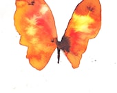 red, orange and yellow butterfly. original watercolour painting