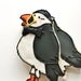 Puffin Decorated Sugar Cookies - Arctic Favors - Bowtie