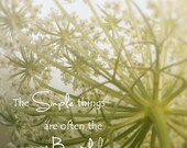 Botanical Print Queen Annes Lace Simplicity White Mint Green Soft Dreamy Hazy Field Flowers Minimal Simple Style, 10 x 10 Fine Art Print