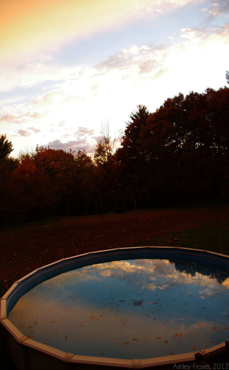 Reflections - 8 x 10 Print