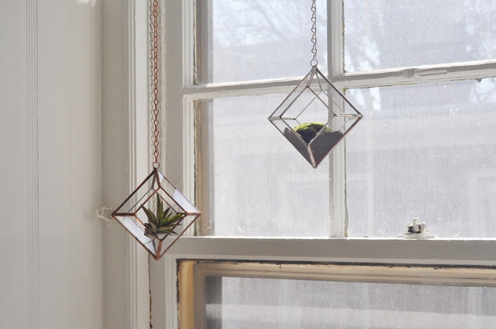 NEW Zephyrus Terrarium, small -- for air plant terrarium or small succulent -- stained glass -- terrarium supplies -- eco friendly