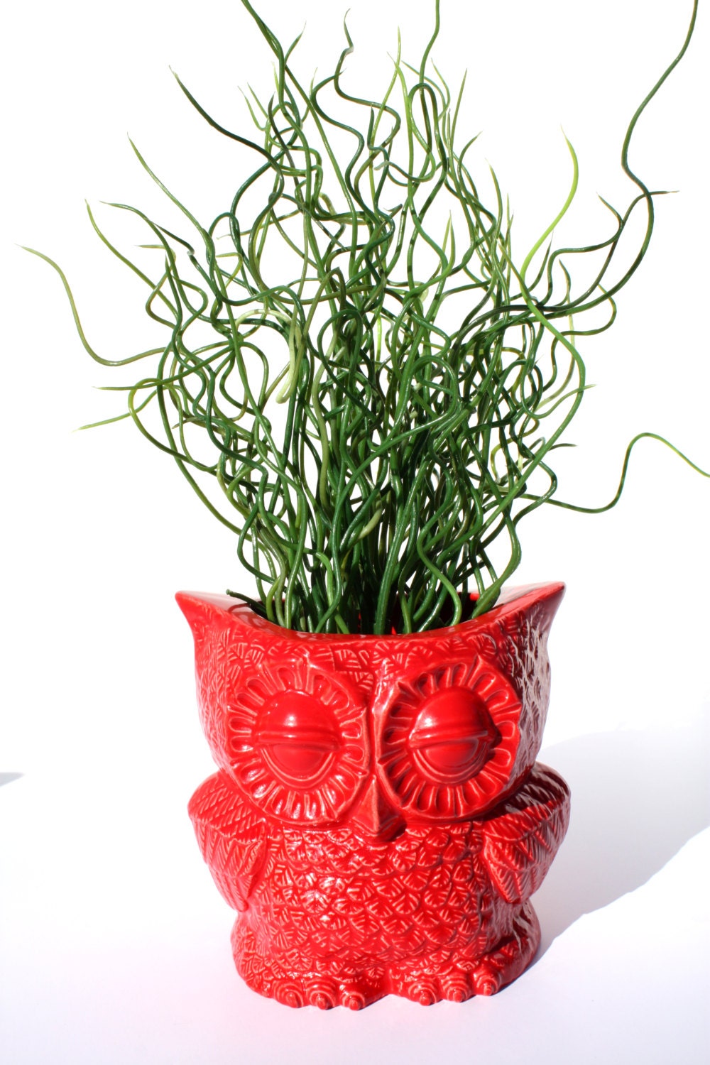 Owl Planter, Seconds Sale - Neon Red Owl, OOPS