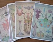 Cephalopodoptera  - collection of 5 art prints - A3 size