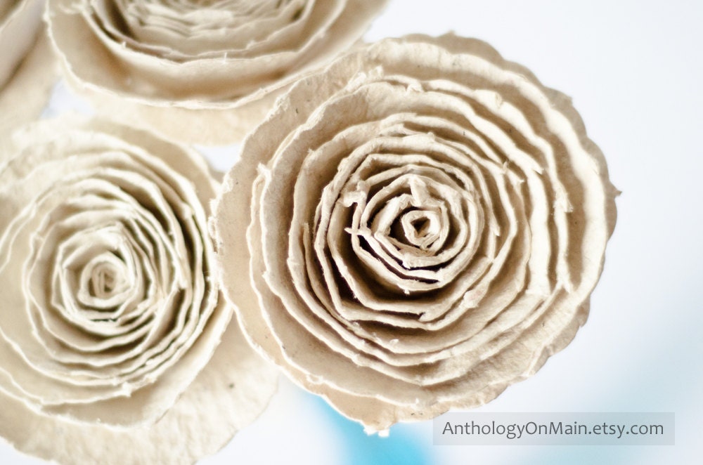 Eco Friendly Upcycled Handmade Paper Flower Roses - Six Shabby Chic Ivory Rosettes with Stems - Home Decor