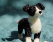 Border Collie - CUSTOM Pet Portrait
