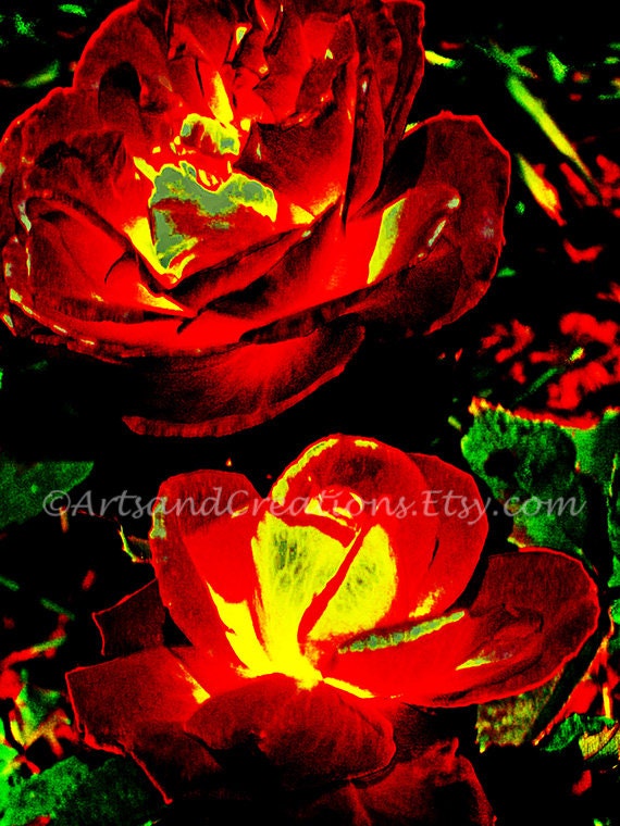 CANVAS PRINT GICLEE "Wonder Flowers" Fine Art Pink Red Landscape Flowers Digital Painting Photography Abstract Signed Limited Edition 9 x 12