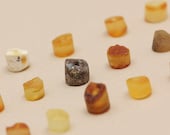 50 pcs of Baltic Amber loose beads