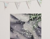 Baby's Breath, 8x8 Square Fine Art Nature Photograph, Floral sweet nursery photograph, Nursery Wall Art, White Flower Photograph