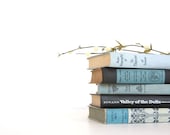 Black and Blue Antique Book Collection - Decorative Book Decor - Light Blue Wedding Decor - 1901 Little Men - Spring Decor - VintageScholar