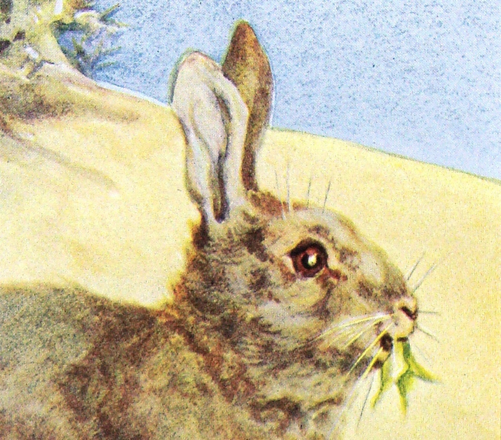 Hare Mother and Baby - Vintage Book Print English 1930s -  Matted Ready To Frame 8 x 10  - woodland field animal painting by Barbara Briggs