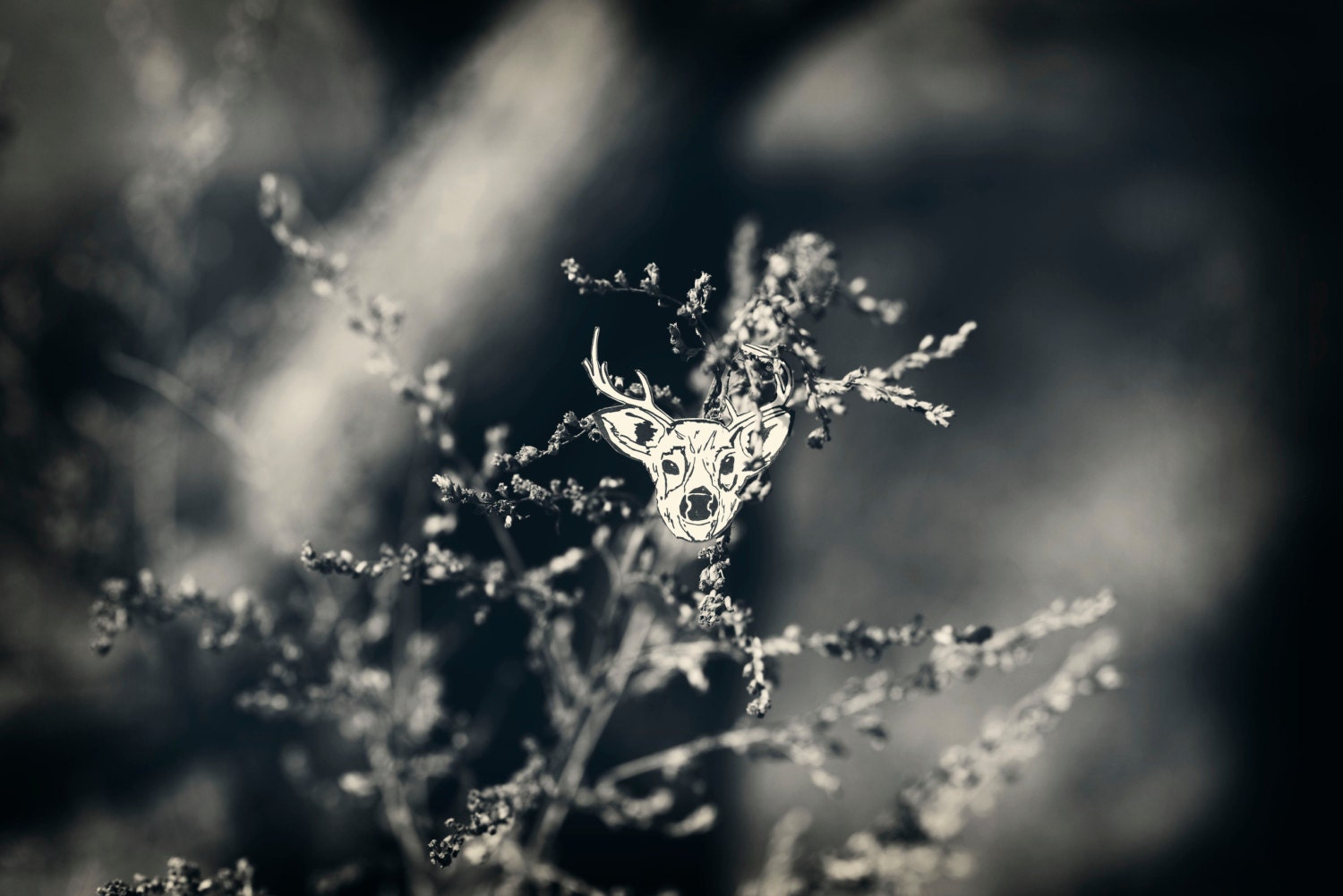 Call of the Wild Brooch // DEER